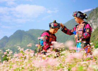 Du lịch Hà Giang khung cảnh thiên nhiên đẹp tựa chốn bồng lai tiên cảnh