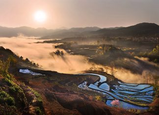 Vì sao du lịch Sapa vào mùa hè luôn là lựa chọn tốt nhất? Tour Hè Sapa