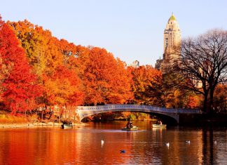 Tham khảo kinh nghiệm du lịch mùa thu Châu Âu – Úc – Mỹ chi tiết nhất! Tham khảo kinh nghiệm du lịch mùa thu Châu Âu - Úc - Mỹ chi tiết nhất 2022