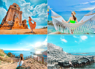 Du lịch Quy nhơn Tết âm lịch chiêm ngưỡng vẻ đẹp hoang sơ