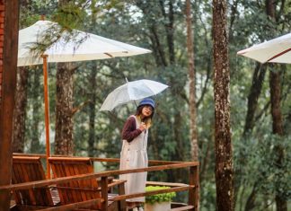 Check in 5 địa điểm du lịch Măng Đen cực hot không thể bỏ lỡ Check in 5 địa điểm du lịch Măng Đen cực hot không thể bỏ lỡ