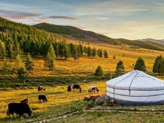 Cảnh quan tuyệt đẹp tại vườn quốc gia núi Khan Khentii Mông Cổ